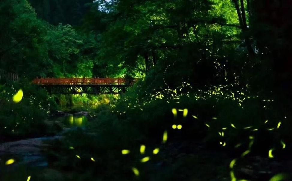 成都周边一日游免费景点推荐,成都温江十大景点免费