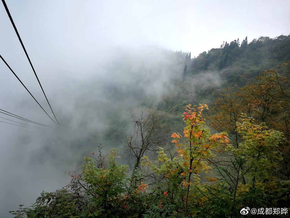 成都周边一日游免费景点推荐,成都温江十大景点免费
