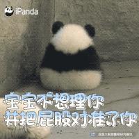 成都周边一日游免费景点推荐,成都温江十大景点免费