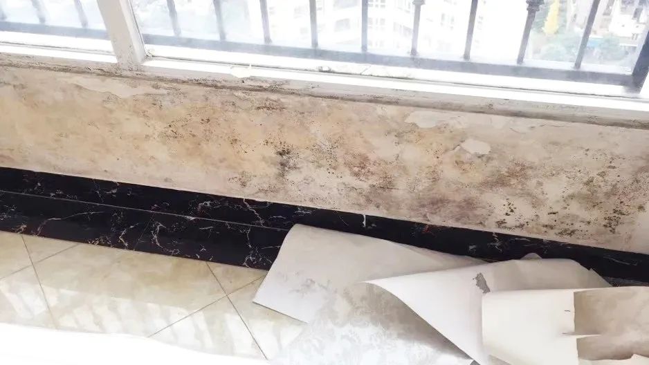 除霉神器,哪些好用又便宜的去霉神器