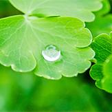 今日谷雨群芳竞发