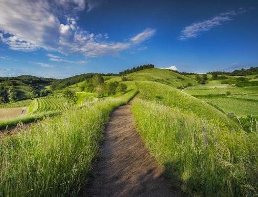 韩国卖土地的真的假的,卖韩国土地靠谱吗