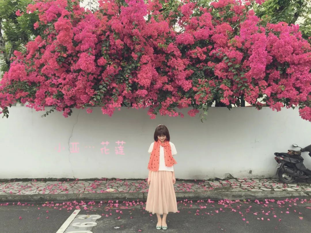 暂停自由行,暂停个人自由行