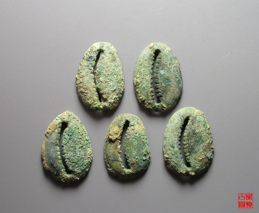 最早的贝壳货币值多少钱,贝壳货币起源于什么地方