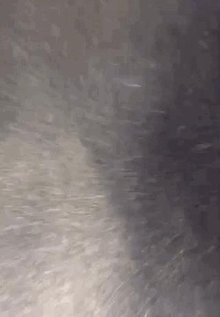 为什么家里总有“飞尘、毛絮”？学会这样做，干净又卫生，贼实用