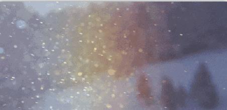 为什么房子里总有小毛毛,为什么房子里面会长蘑菇科学探究