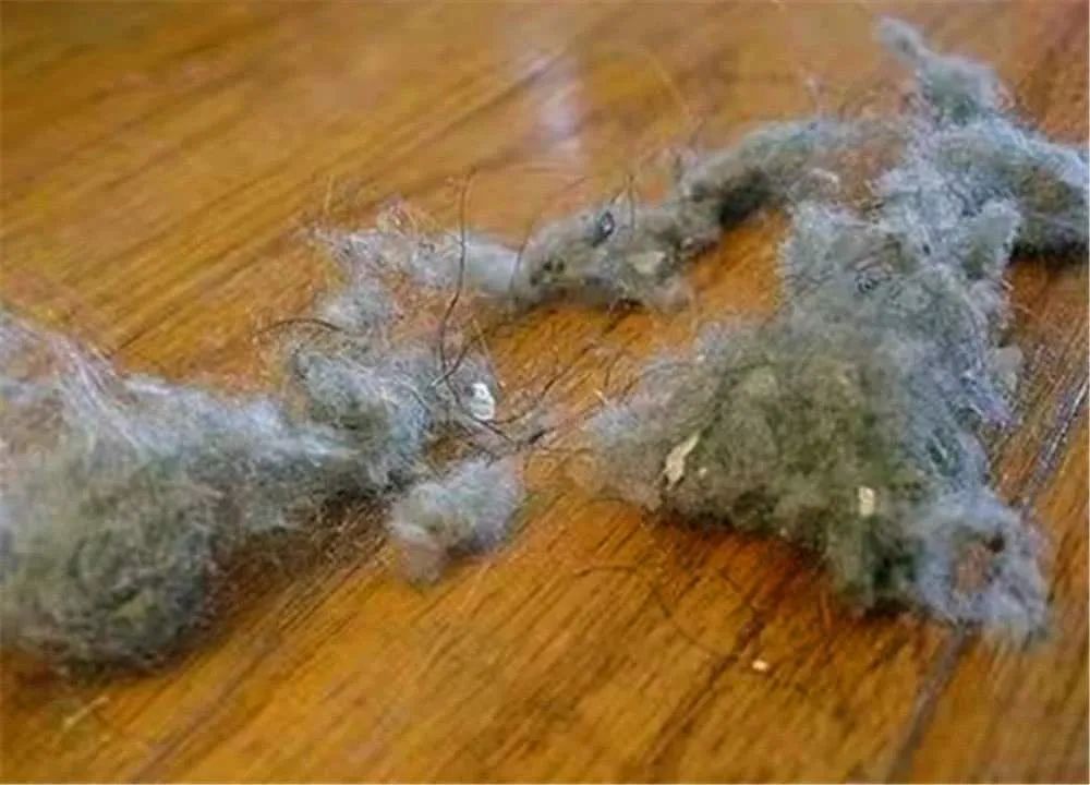 家里毛絮是怎么出来的,怎么减少室内毛絮