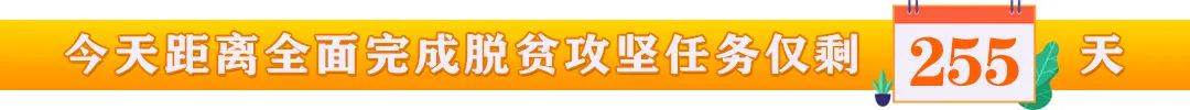 甘肃庆阳机动车年检,庆阳汽车年检关注事项