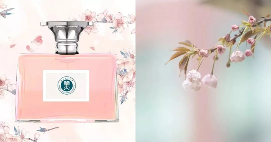 离开学校的第100天,离开校园的第100天