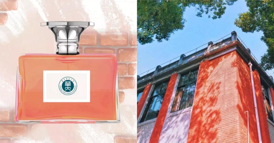 离开学校的第100天,离开校园的第100天