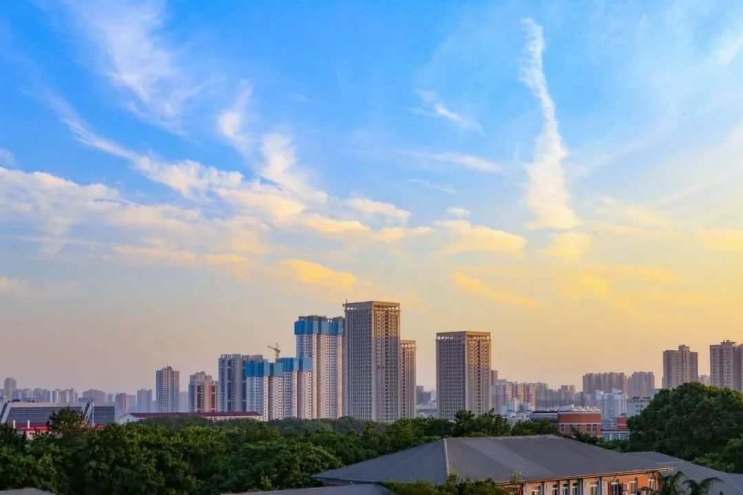 离开学校的第100天,离开校园的第100天