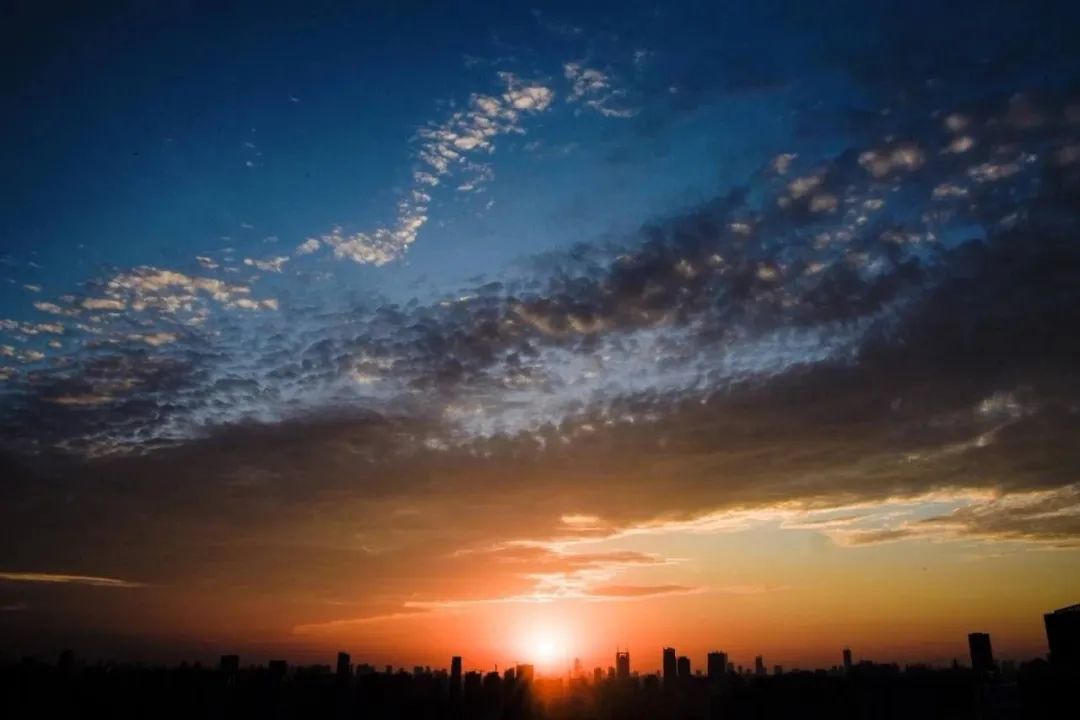 离开学校的第100天,离开校园的第100天