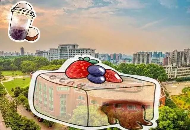 离开学校的第100天,离开校园的第100天