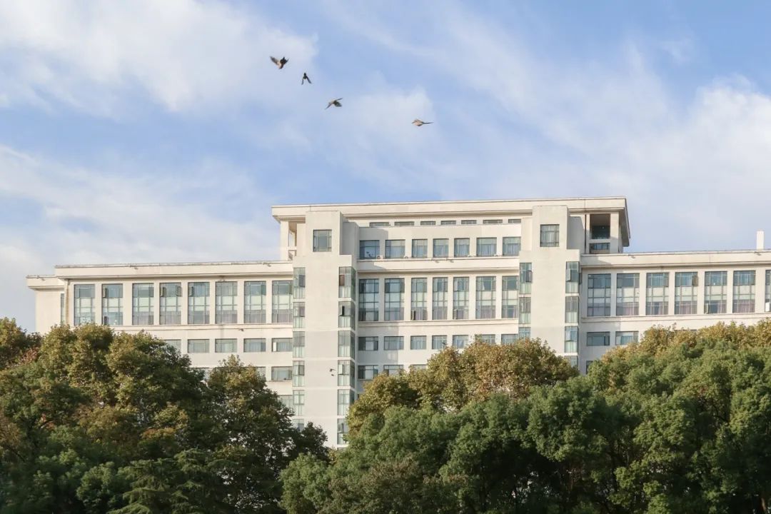 离开学校的第100天,离开校园的第100天