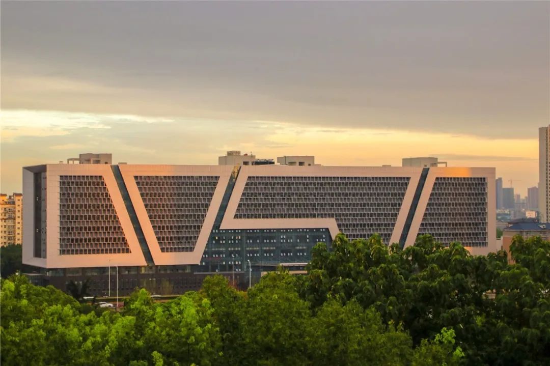 离开学校的第100天,离开校园的第100天