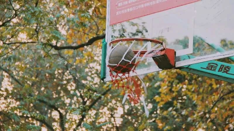 离开学校的第100天,离开校园的第100天