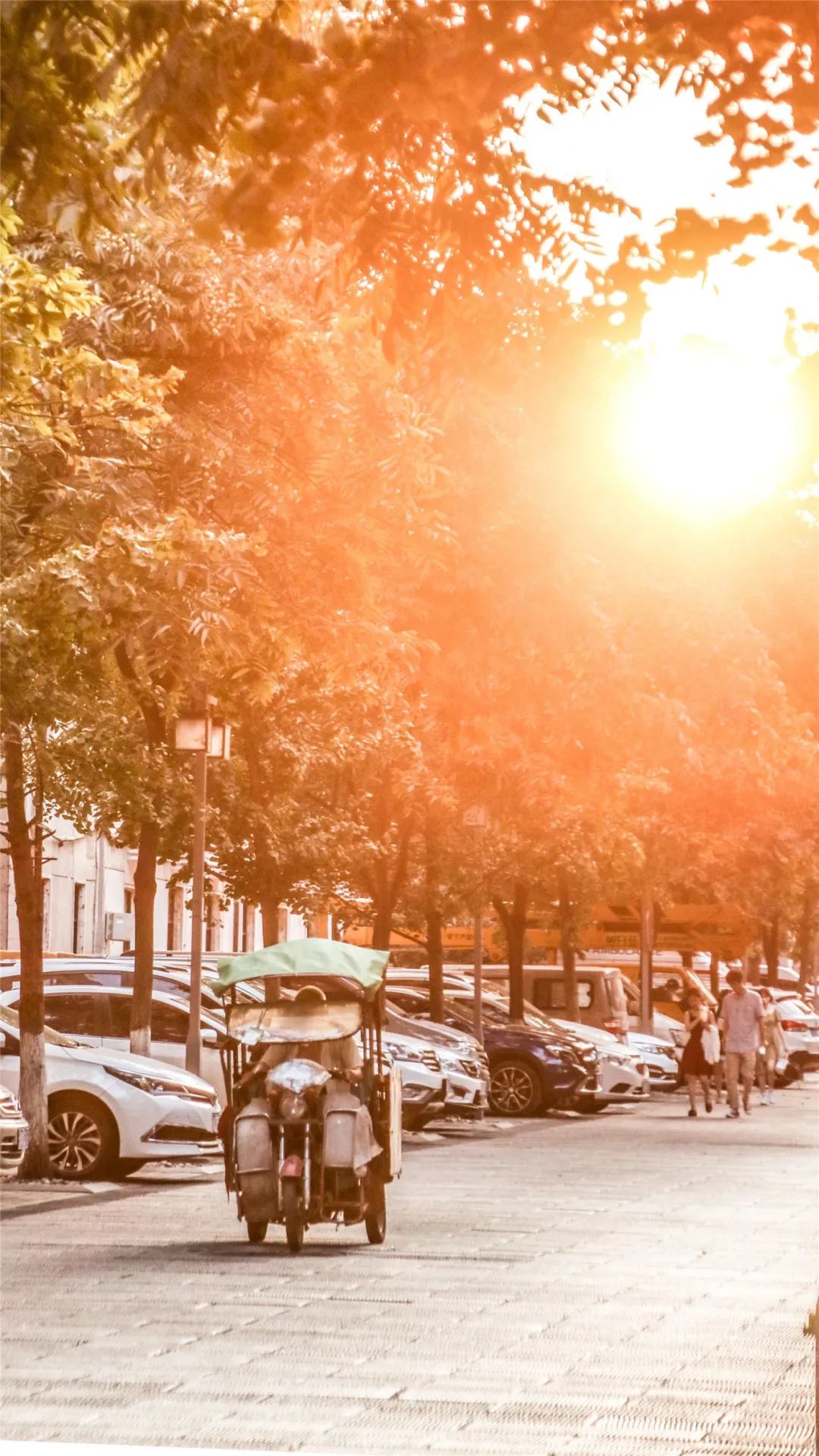 离开学校的第100天,离开校园的第100天