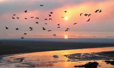 译典 | 刘禹锡《望洞庭》Looking into Cavehall Lake