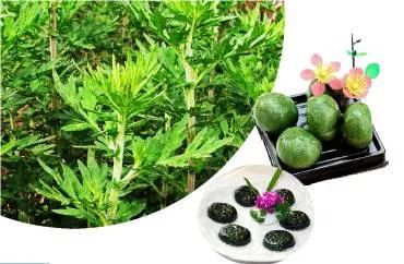 春季野菜不要随便挖这些野菜有毒,四月踏青路边的野菜能采吗