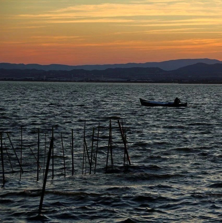 手足癣中医辨证论治,手足癣怎么治见效快