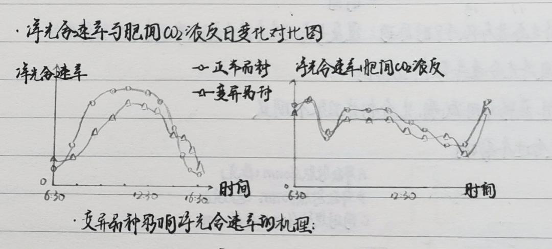 高考备考笔记本,高三一年用完了多少笔