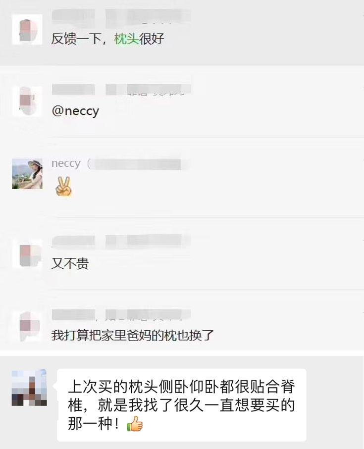 给五星酒店供货的德国大牌枕头，这里不到百元就能买到