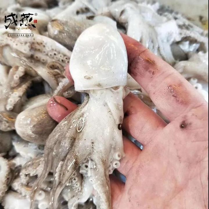 海边别墅海鲜推荐,199元海景房