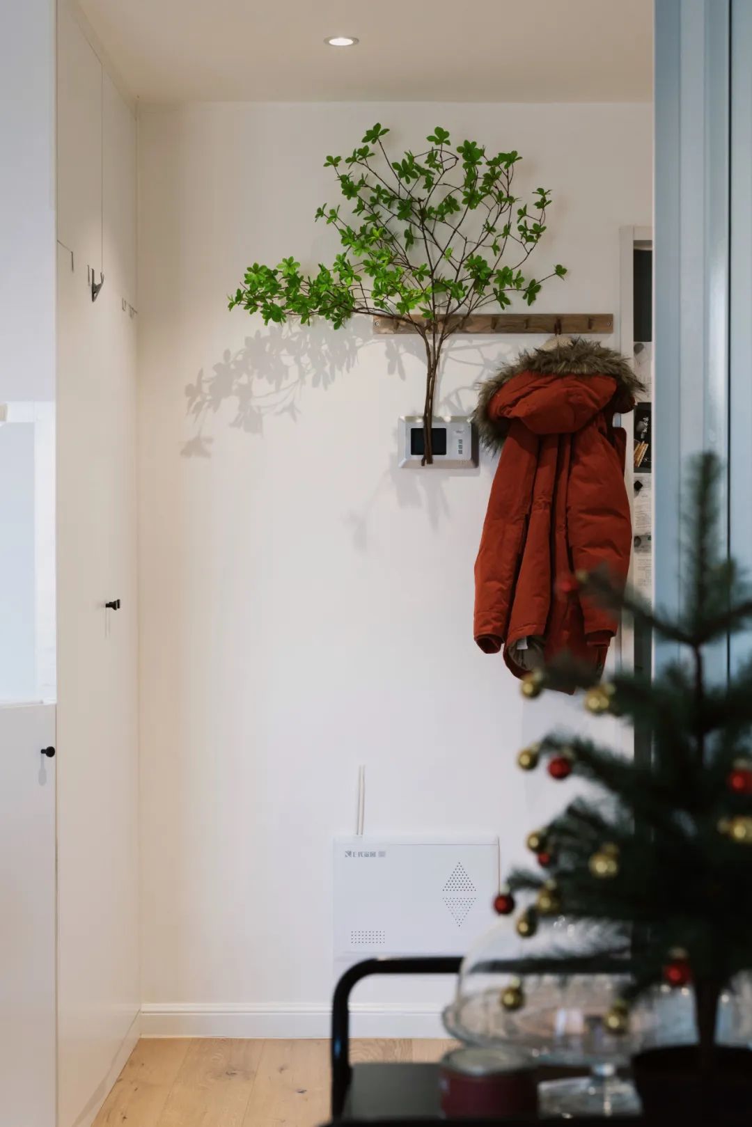 小家、乱家1秒变干净的方法被她找到了！都给老娘进柜