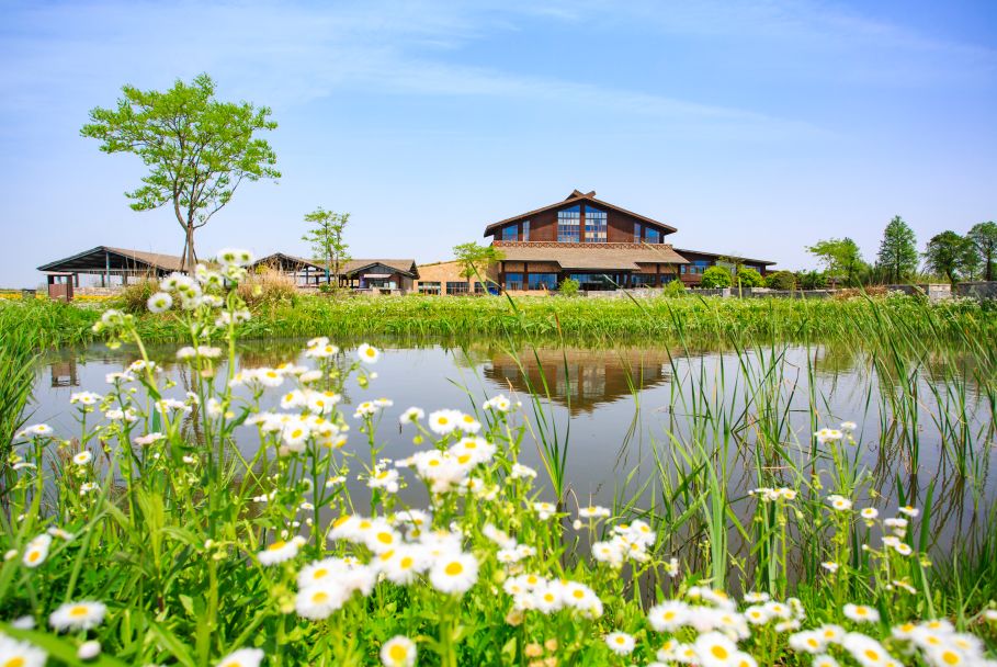 五一小众旅游推荐宁波,宁波美丽乡村旅游推荐