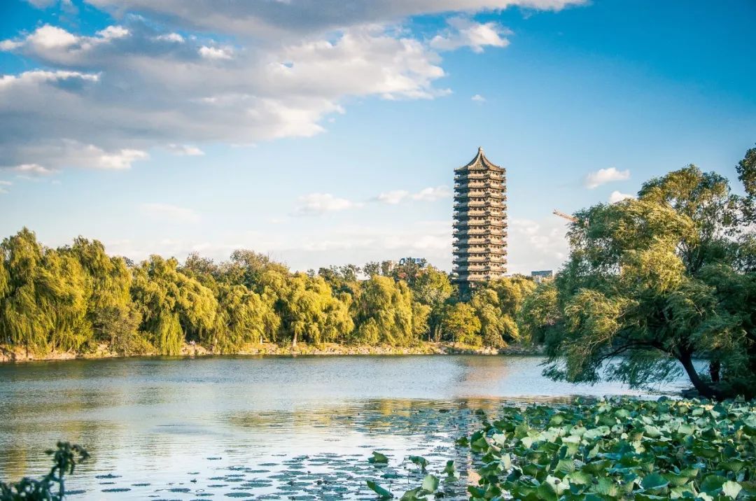 北京大学硕士学位评定委员会,北京大学学士学位评定委员会