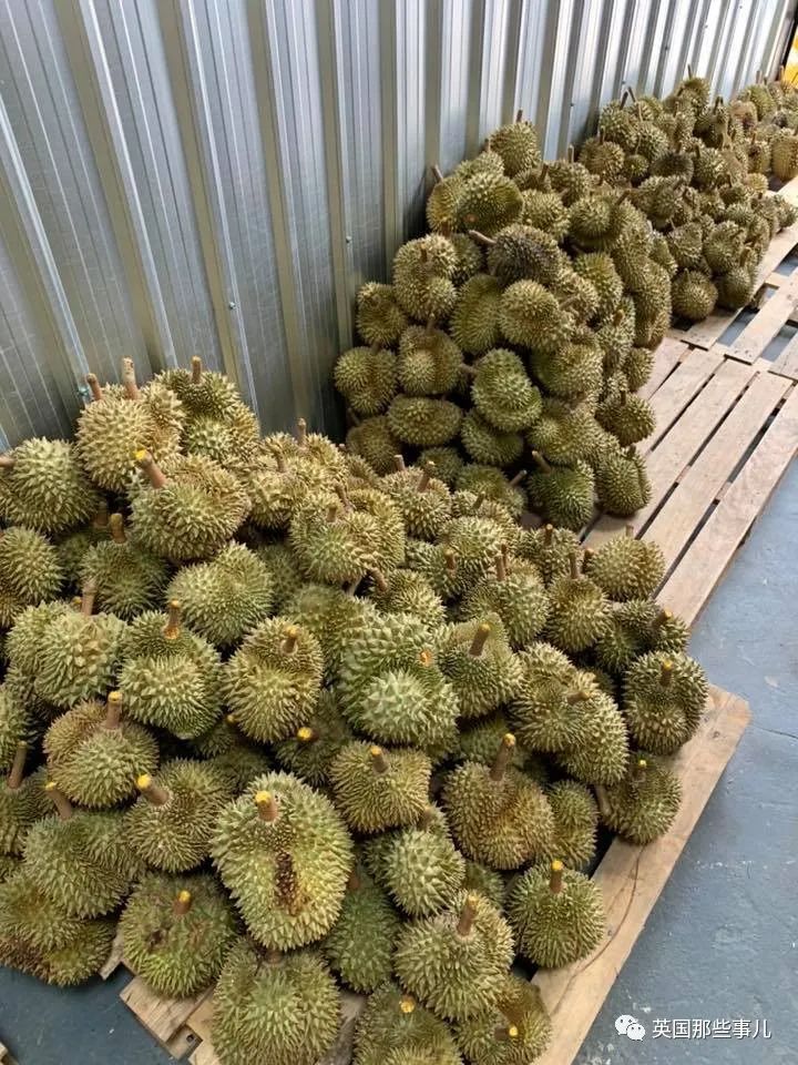 无班可上的泰国健身教练跑去水果店卖榴莲…这画风也太猛了…