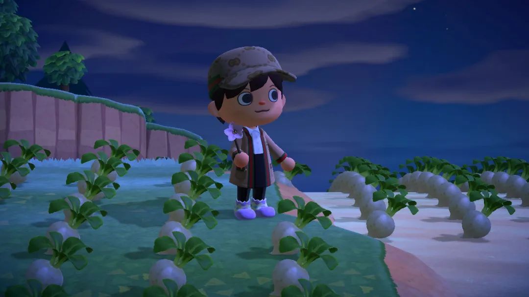 上岛一个月的“动森梦”醒了很久还是很感动