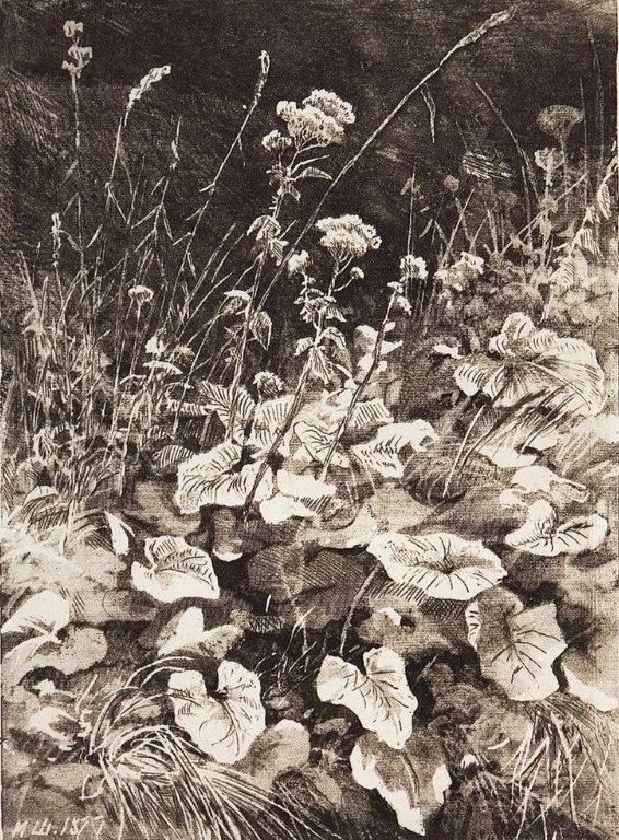 杰出人物素描画,超写实风景素描图片