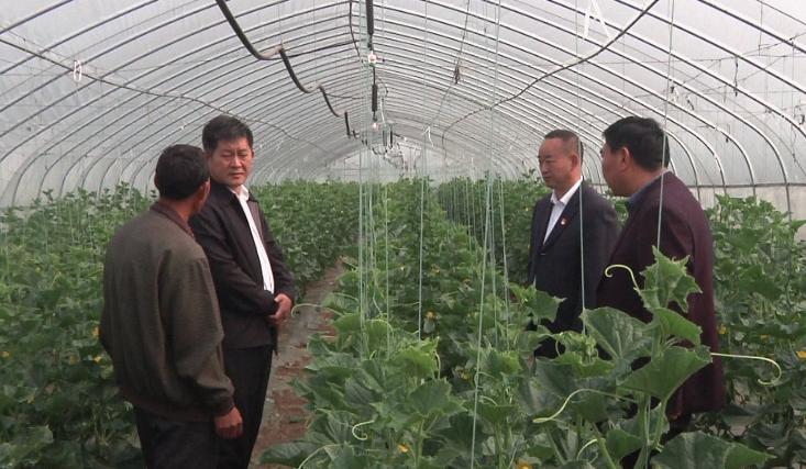 李灵敏到明港镇调研脱贫攻坚工作,信阳市明港镇李灵敏