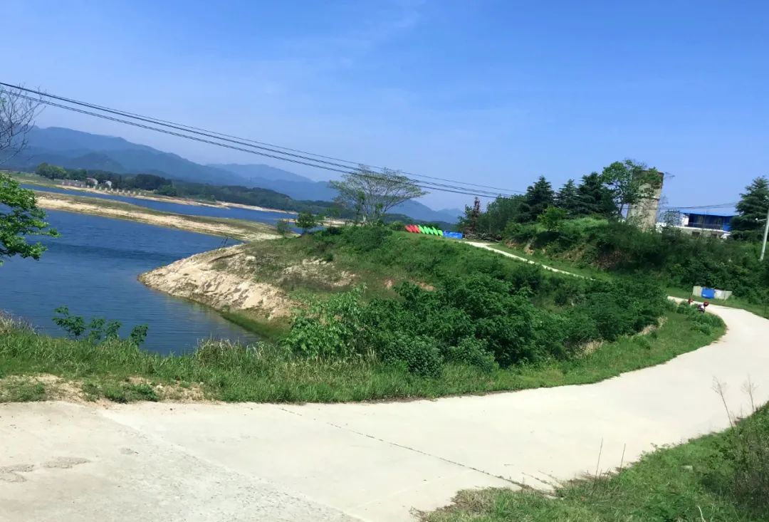 武汉开车1.5小时|通透如琉璃的“蓝丝绸”湖，有人在湖畔造了500亩撒欢营地「432集」