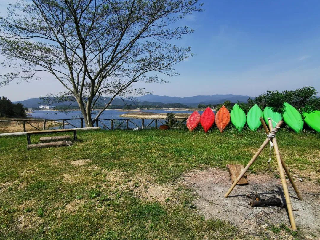 武汉开车1.5小时|通透如琉璃的“蓝丝绸”湖，有人在湖畔造了500亩撒欢营地「432集」