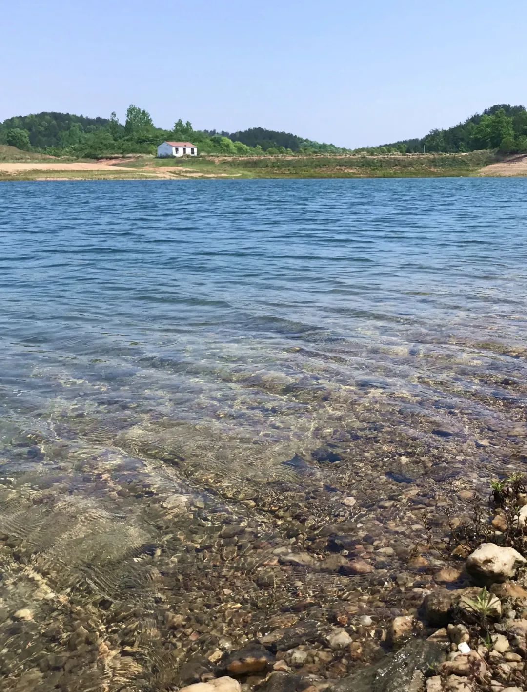 武汉开车1.5小时|通透如琉璃的“蓝丝绸”湖，有人在湖畔造了500亩撒欢营地「432集」