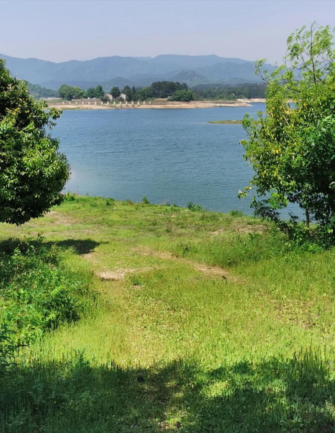 武汉开车1.5小时|通透如琉璃的“蓝丝绸”湖，有人在湖畔造了500亩撒欢营地「432集」