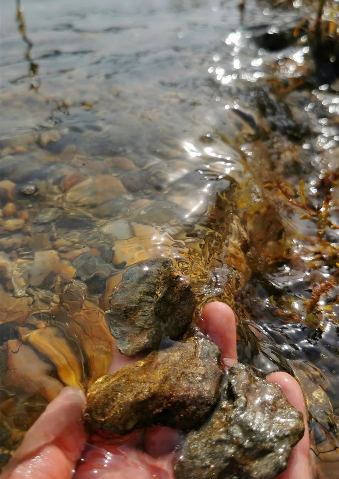 武汉开车1.5小时|通透如琉璃的“蓝丝绸”湖，有人在湖畔造了500亩撒欢营地「432集」