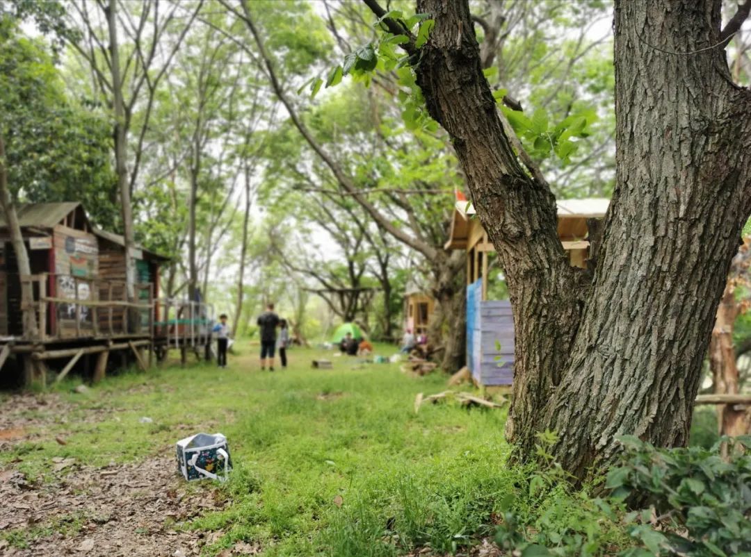 武汉开车1.5小时|通透如琉璃的“蓝丝绸”湖，有人在湖畔造了500亩撒欢营地「432集」