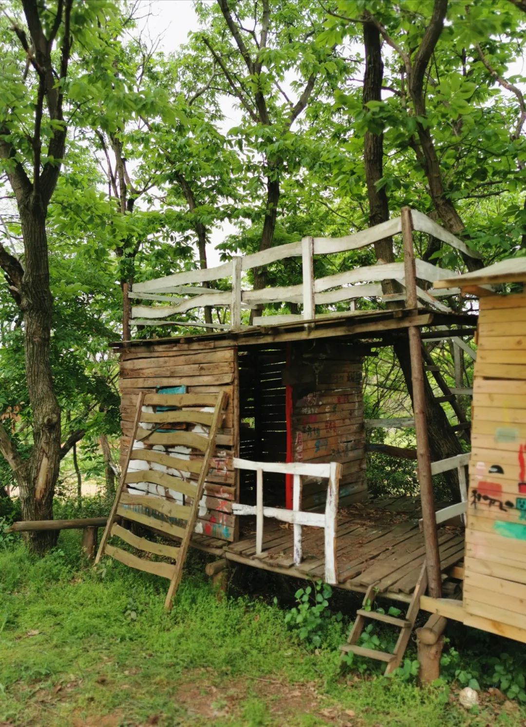 武汉开车1.5小时|通透如琉璃的“蓝丝绸”湖，有人在湖畔造了500亩撒欢营地「432集」