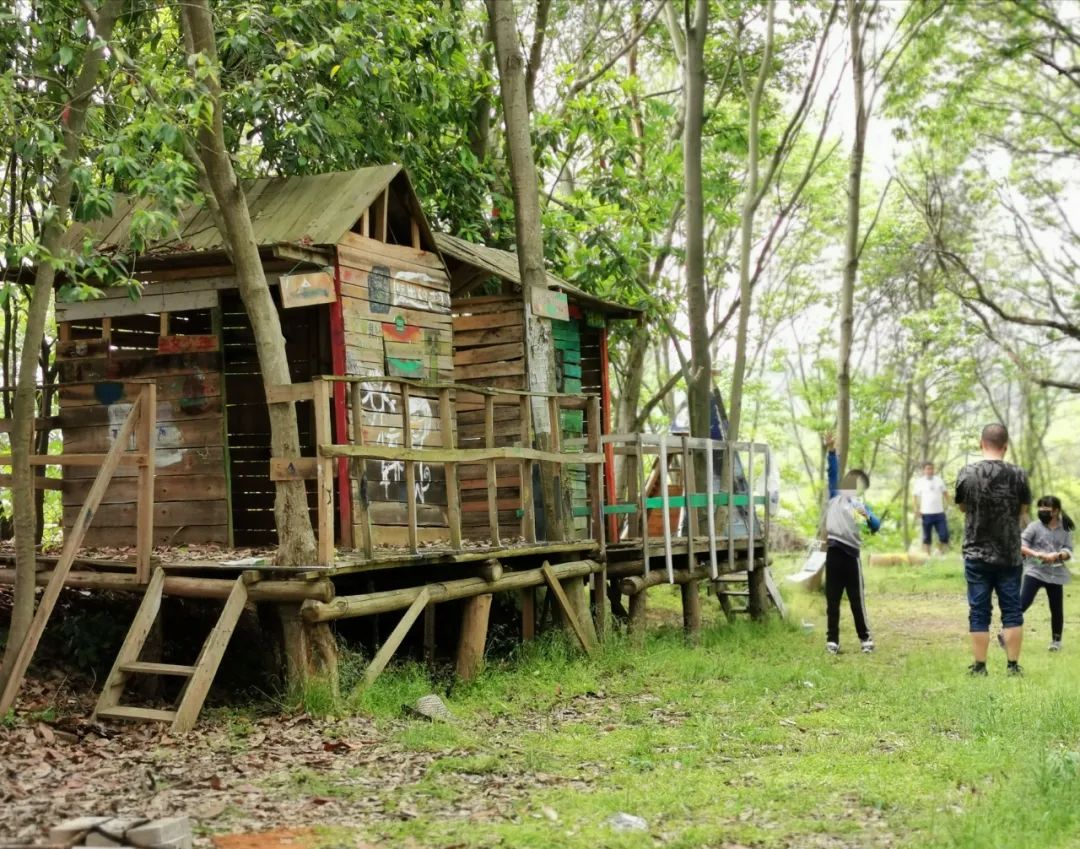 武汉开车1.5小时|通透如琉璃的“蓝丝绸”湖，有人在湖畔造了500亩撒欢营地「432集」