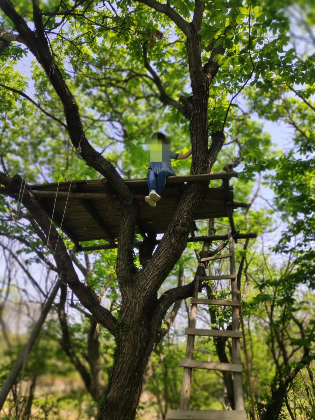 武汉开车1.5小时|通透如琉璃的“蓝丝绸”湖，有人在湖畔造了500亩撒欢营地「432集」