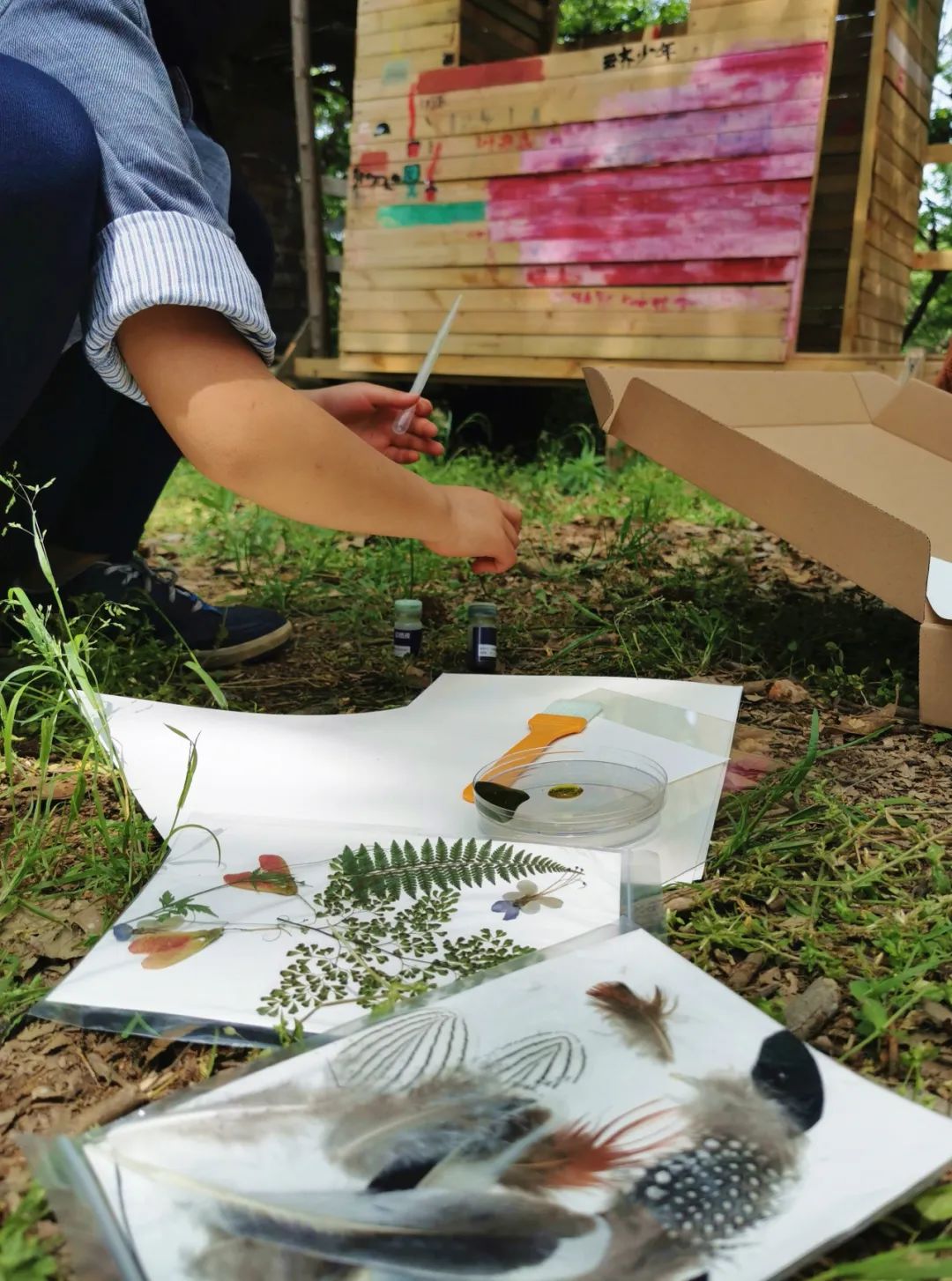 武汉开车1.5小时|通透如琉璃的“蓝丝绸”湖，有人在湖畔造了500亩撒欢营地「432集」