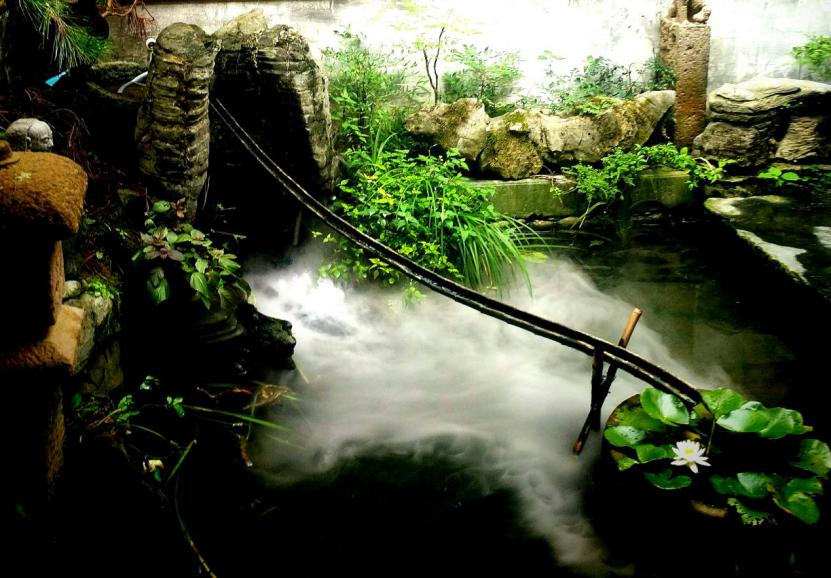 春游江淮请您来活动展示,春游江淮请你来寻梦