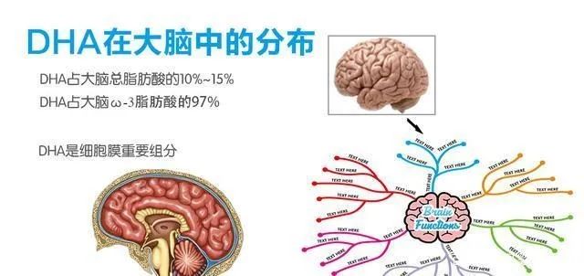 挪威鳕鱼dha,挪威销量第一的鱼油