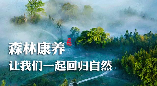 将乐县新任教师名单,将乐县小学优秀教师名单