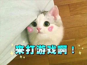 获赔3000万！苏州蜗牛赢了