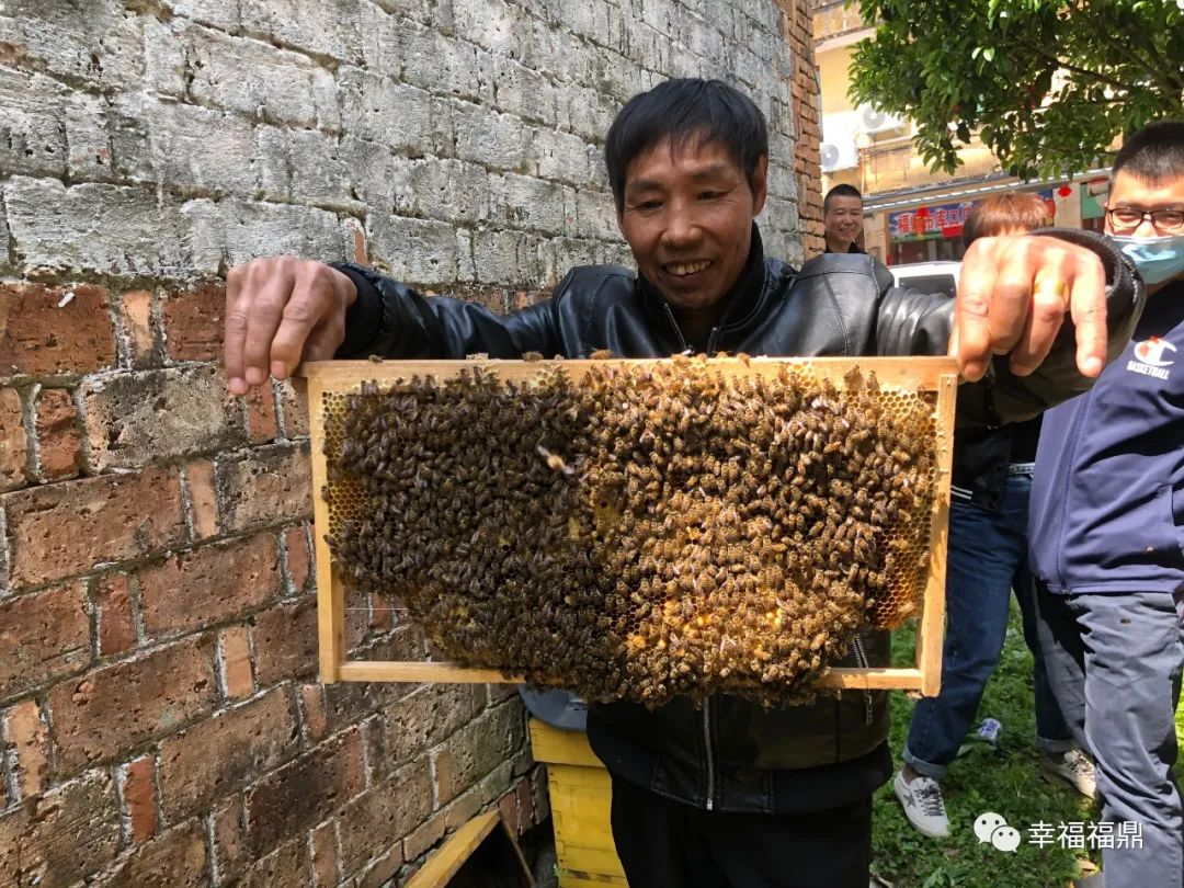 缓坡叠石,叠石景观石