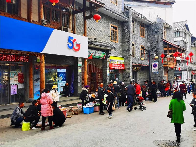 松潘古城虫草市场,四川虫草网上商城